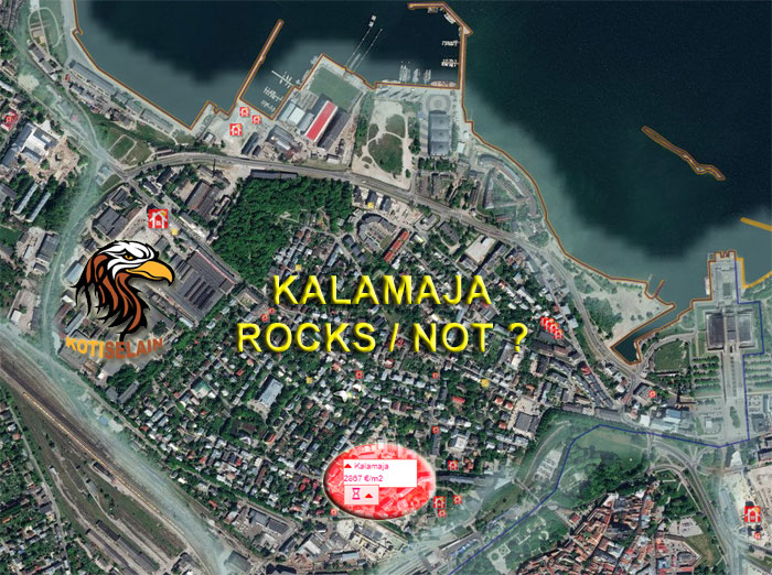 Kalamajan suuri kysymys